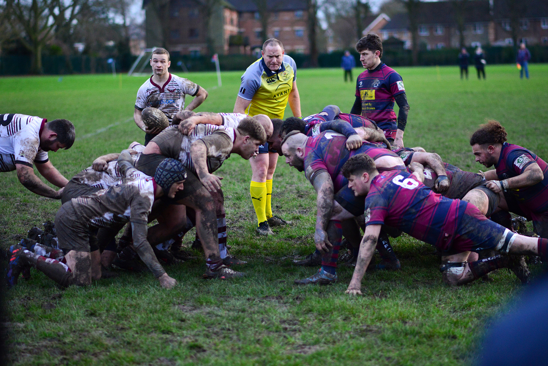 English Rugby 