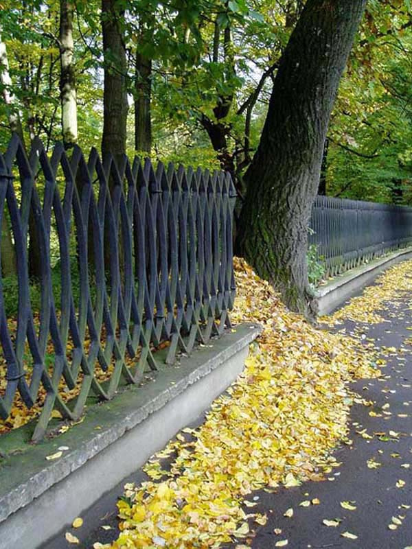 настроение осени осень, листва, природа, Львов, пейзаж,