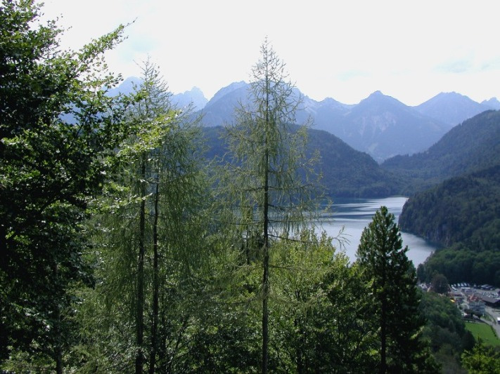 Настроение горы лес Нойшванштайн neuschwanstein река