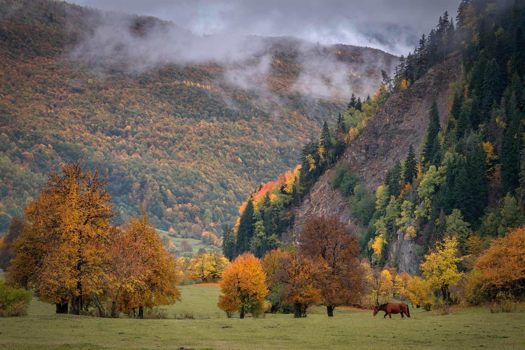 Fall In Mazeri mazeri becho fall autumn trees yellow red horse leaves svaneti mountains clouds sky nature landscape scenery travel outdoors georgia sakartvelo chizh