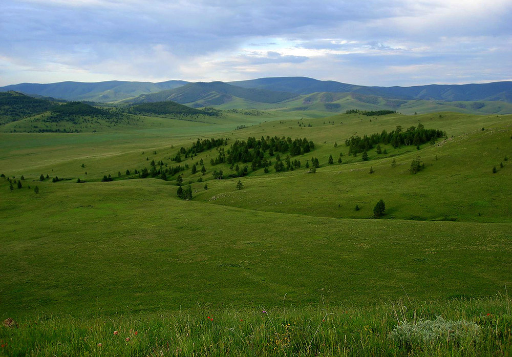 зауральское лето 