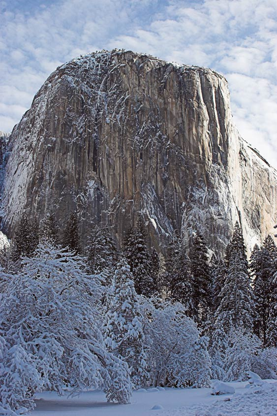 Morning after storm - El Capitain Yosemite