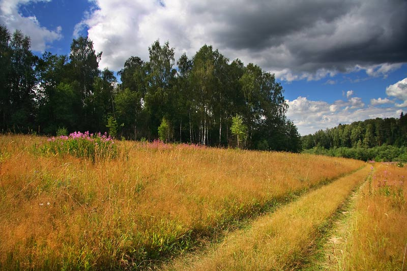 Дорога в... 