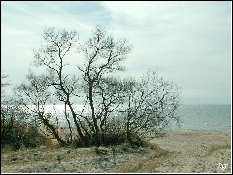 скоро лето солнце, море