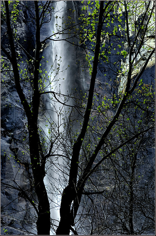 Yosemite California. USA. Прошу смотреть на чёрном.