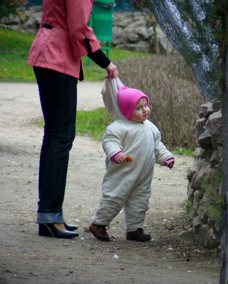 Погуляем? 