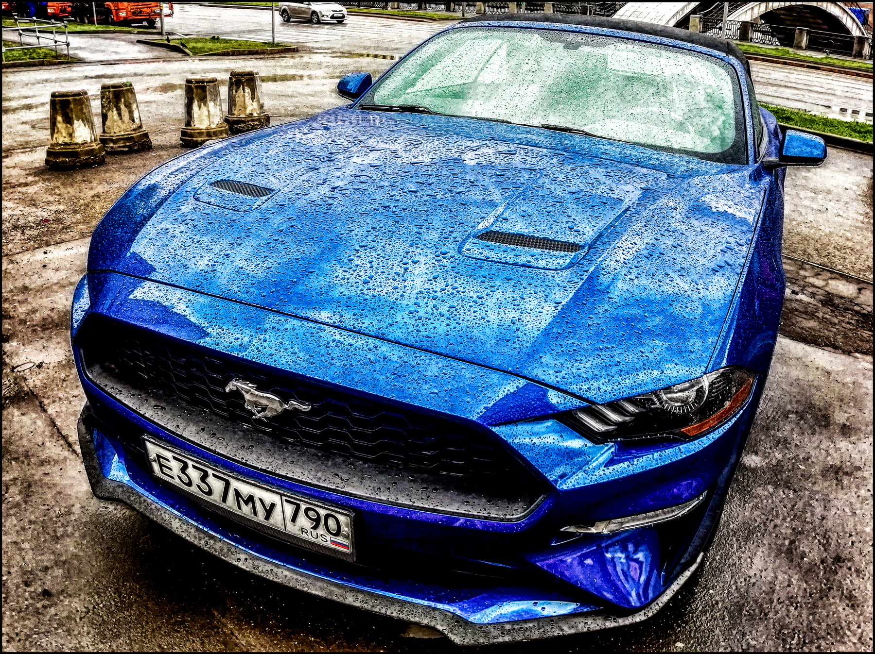 Mustang Мустанг