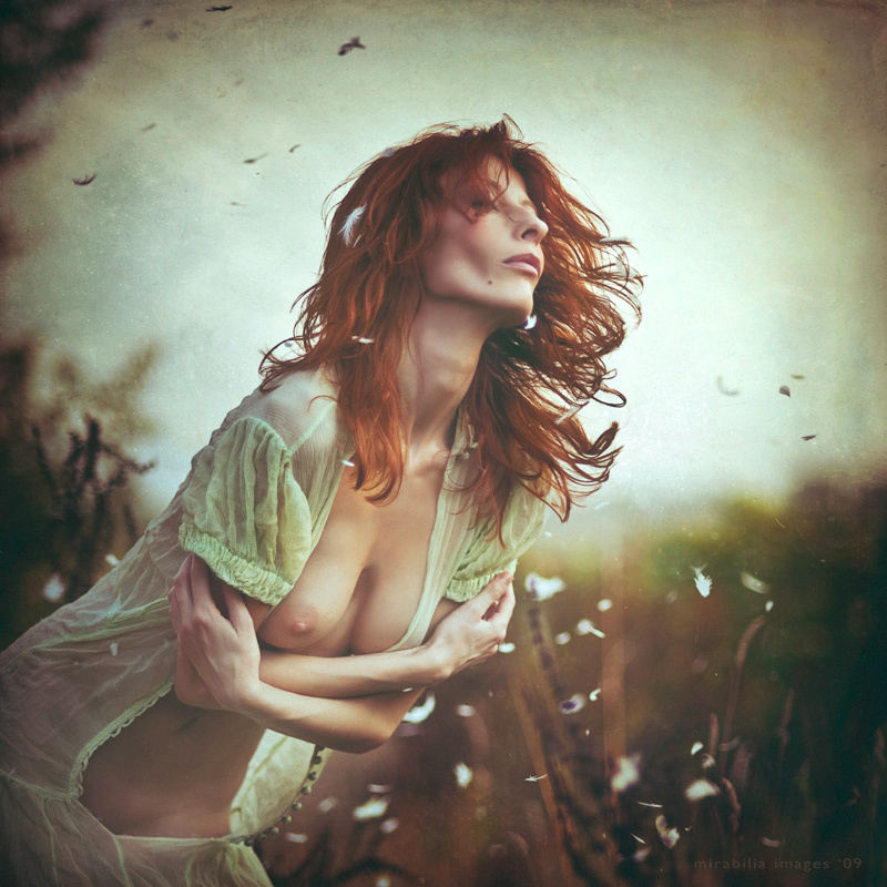 The Wind and Me... 