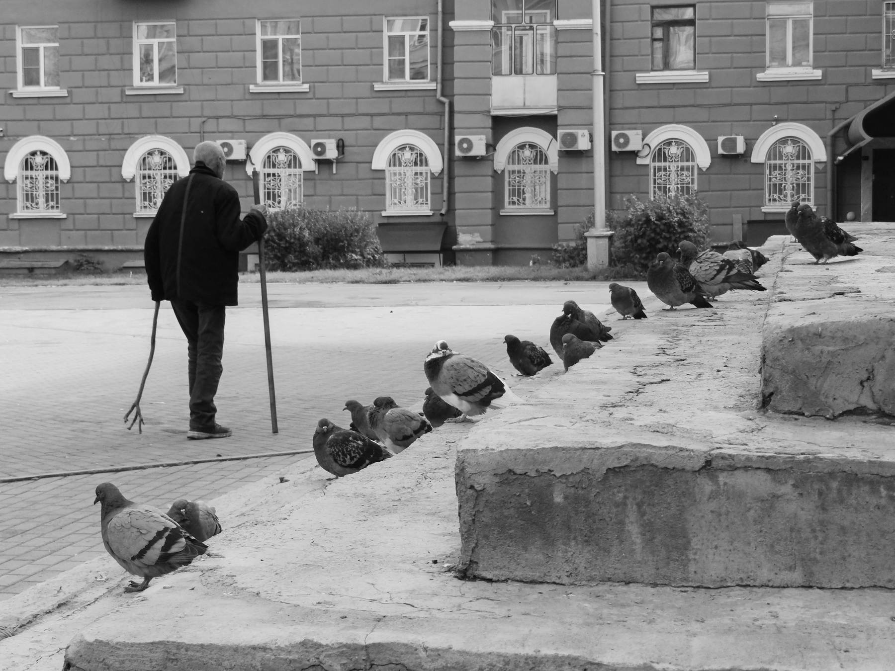 Полковнику никто не пишет 