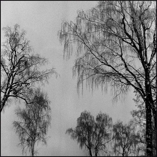Кострома. Зимняя графика Кострома