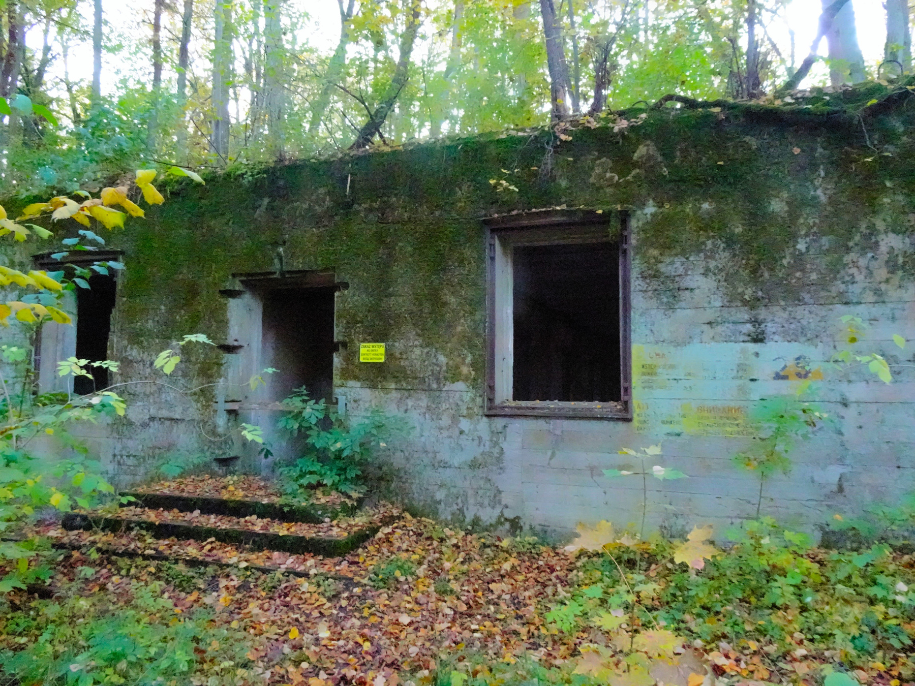 Ставка Гитлера Wolfsschanze Волчье логово Польша Wolfsschanze Гитлер