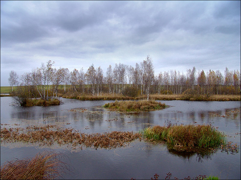 Осенние зарисовки #2 Осень Природа