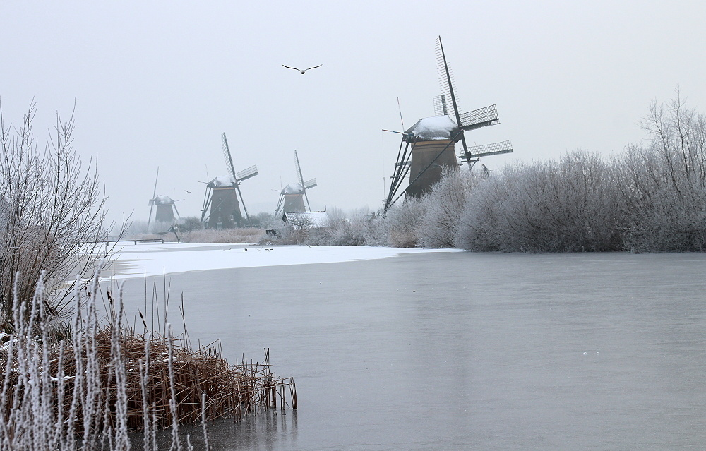 Голландские зимы 2 Kinderdijk Nederland