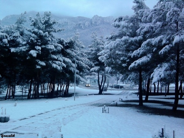enjoying the snow landscape