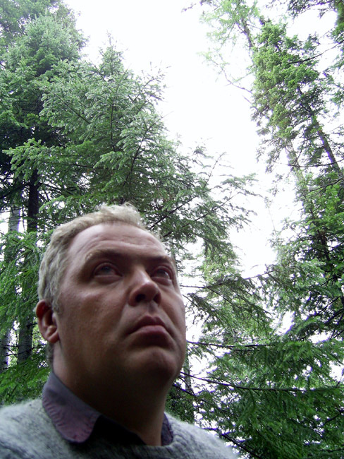 Что там, среди деревьев? 
