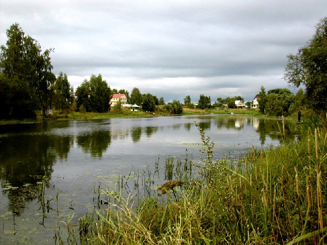 Заводь пейзаж вода река