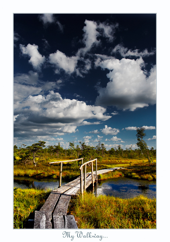 ~ My Walkway... ~ 