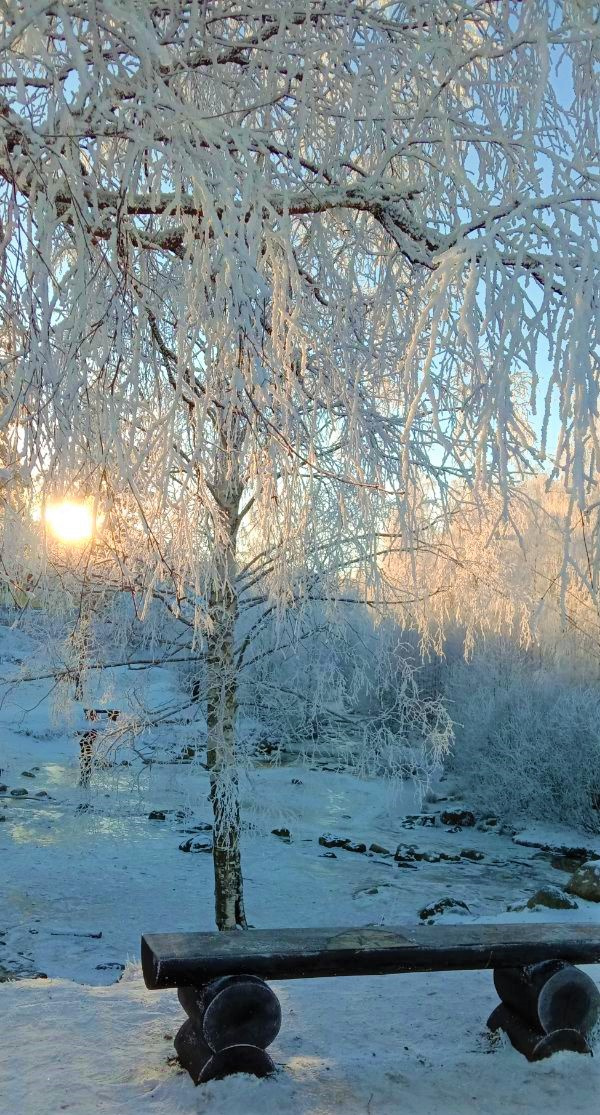 Морозное утро 