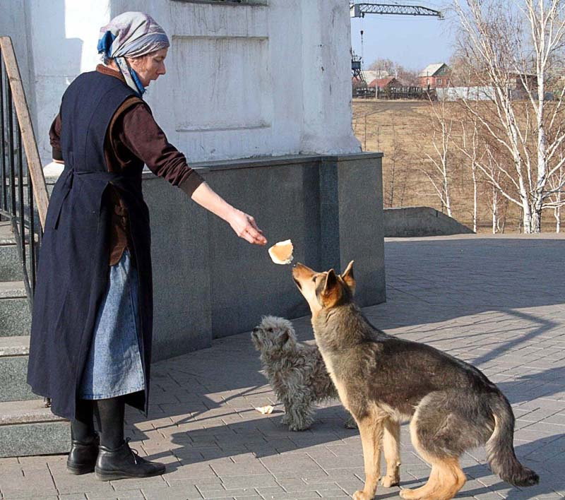 выпросили... кусок хлеба голод собака монахи подаяние
