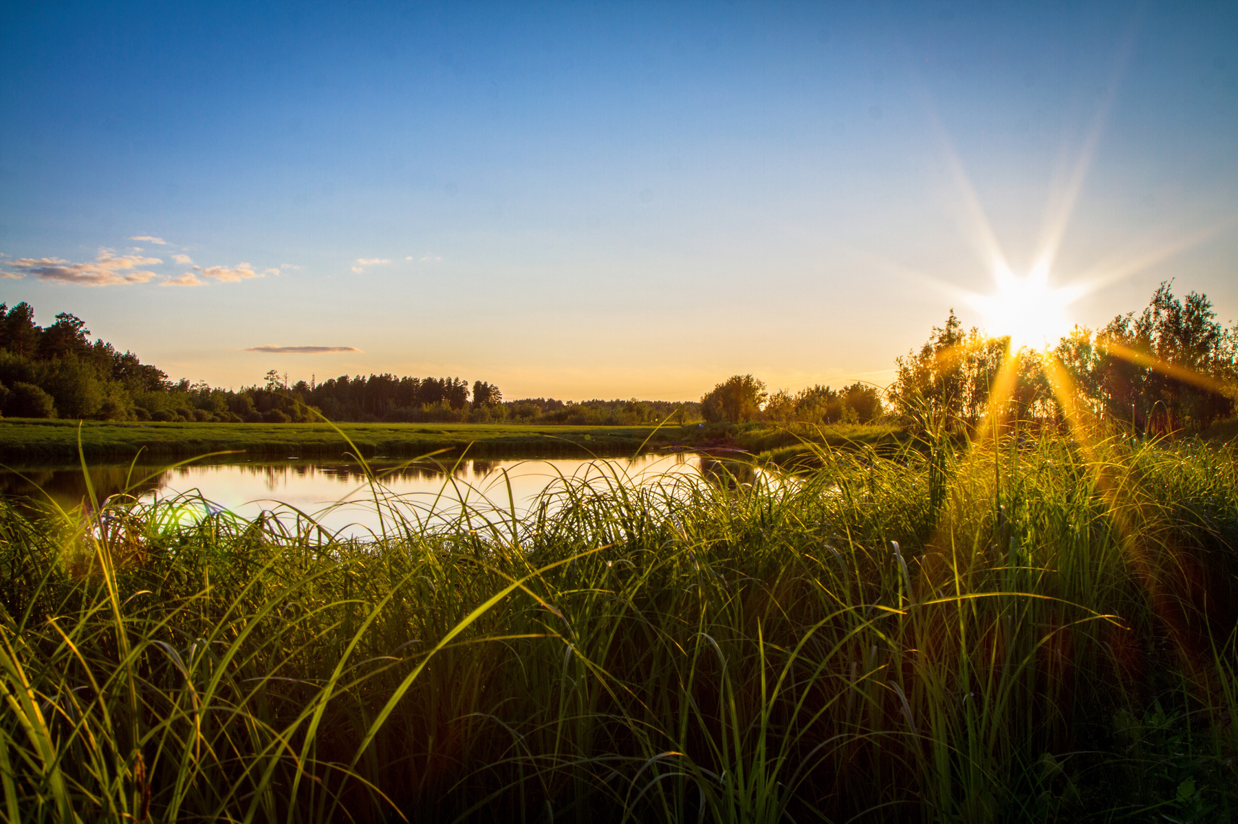 Sunset on the lake nature lake water sunset grass природа озеро закат красиво