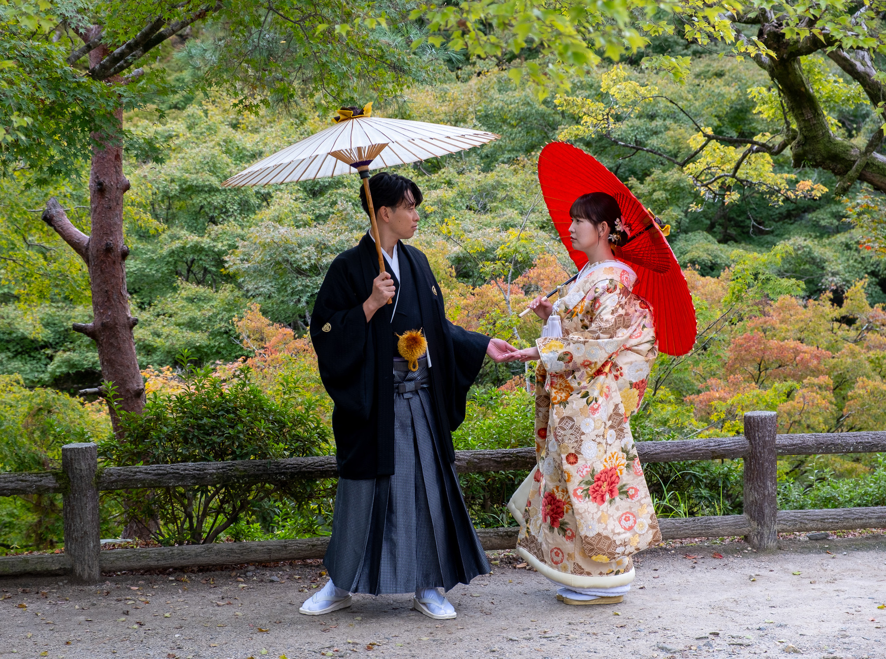 Kyoto,Japan 