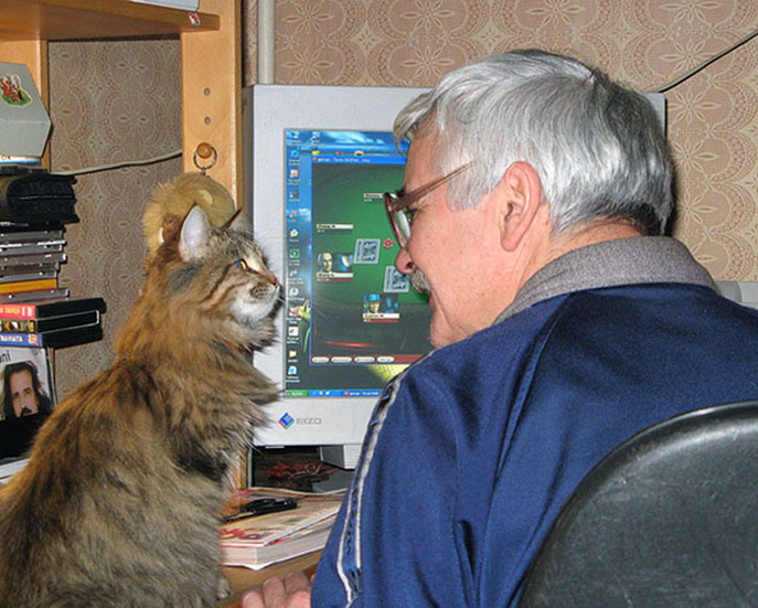 Дяденька, дай поиграть! котенок, кошачьи, домашние любимцы, игра, компьютер