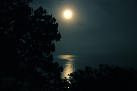 Moon Light Moon