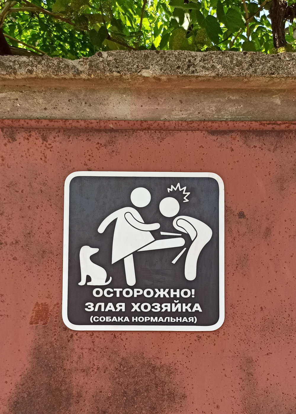 Собака нормальная злая собака