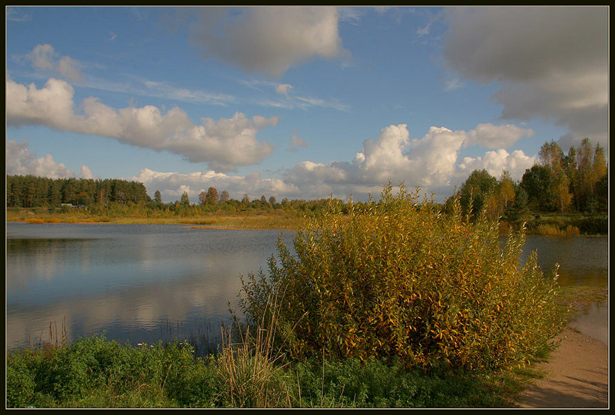 Краски осени 3 осень солнце краски