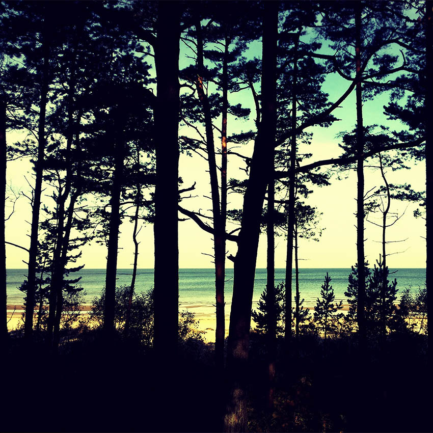05.10.2013 Latvia, Jurmala, october, autumn, sea, Латвия, Юрмала, осень, октябрь, море