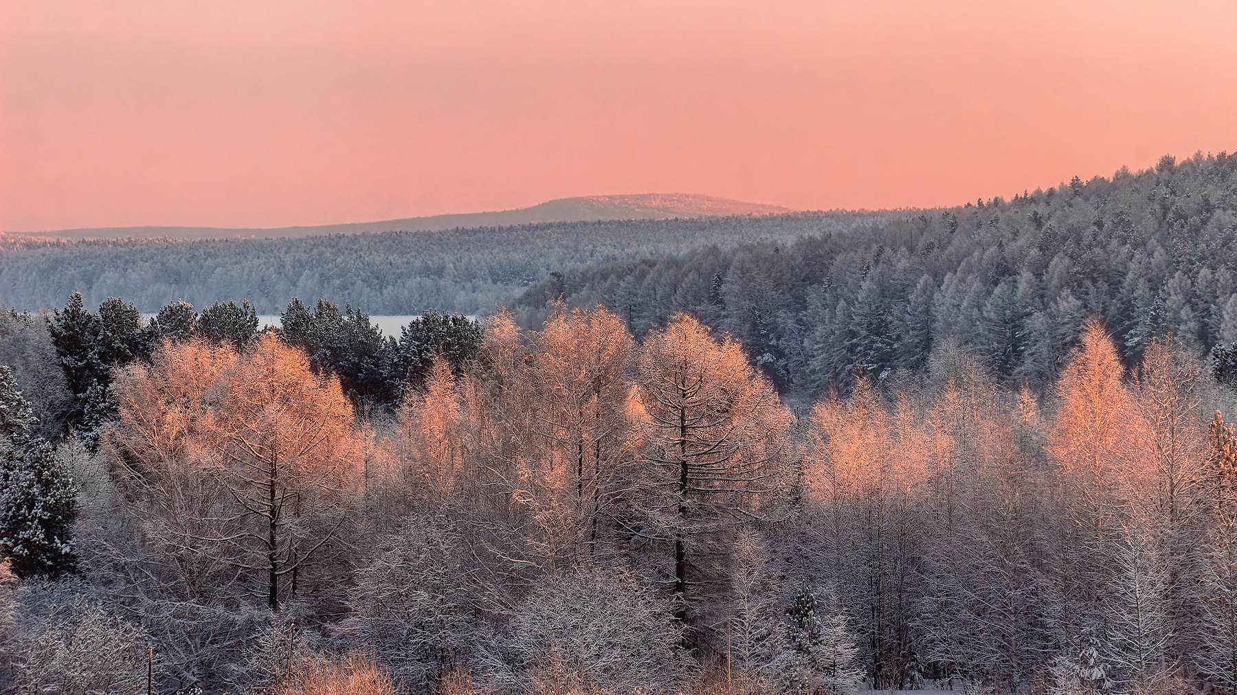 розовая фоточка россия урал природа пейзаж вечер лес перспектива