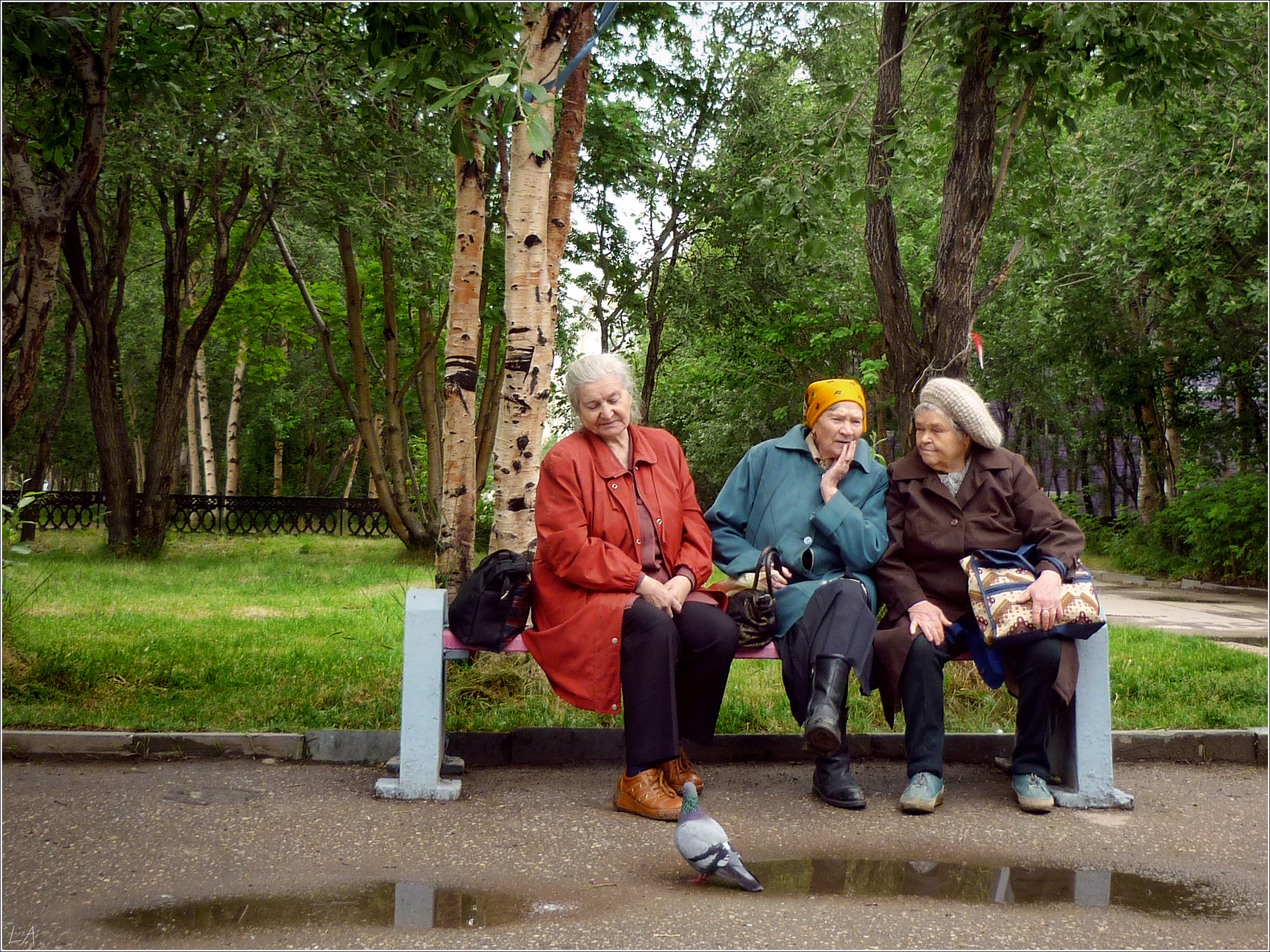 *Монолог: а вот вчера что случилось...* фотография путешествие город Север лето пенсионерки жанр Фото.Сайт Photo.Sight Светлана Мамакина Lihgra Adventure