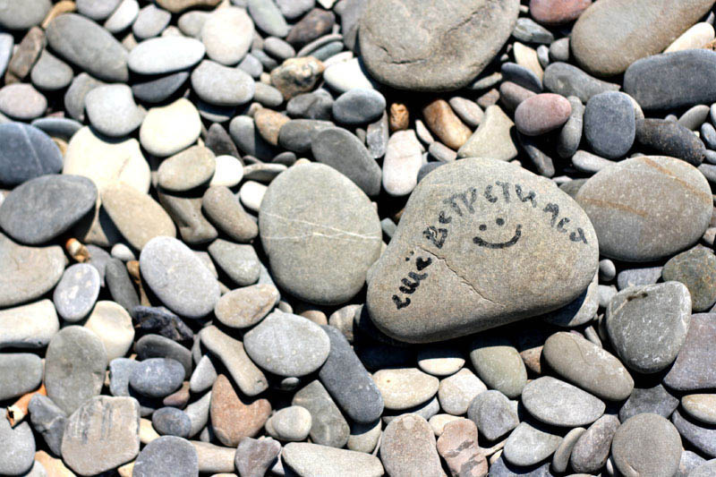 Stone Камешек