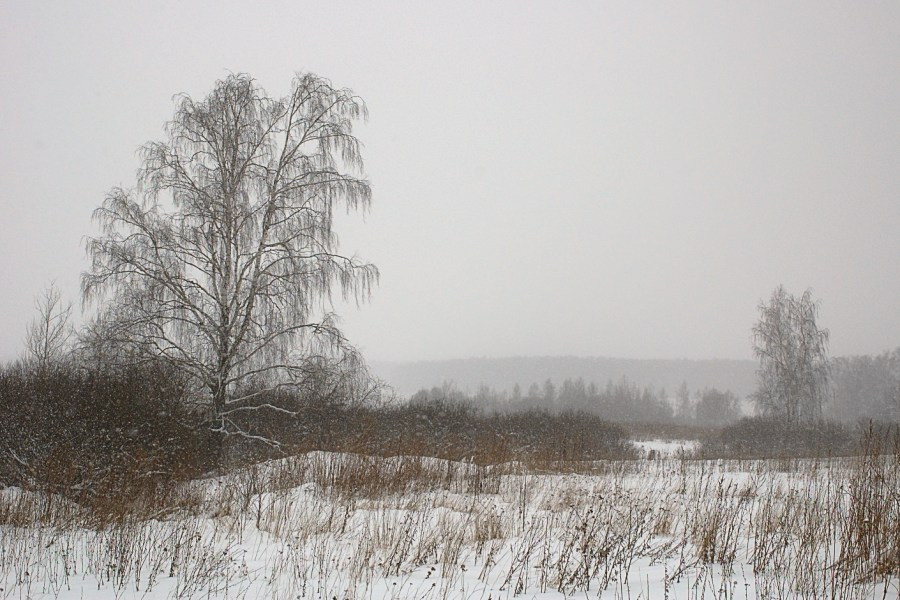 Снег 
