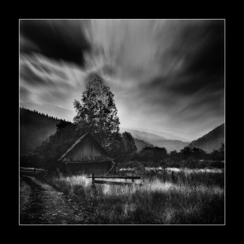 Untitled #X 