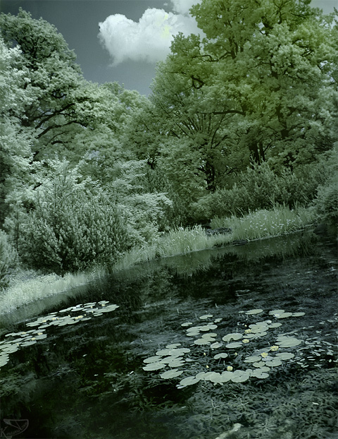 Озеро с кувшинками. Зазеркалье (Infrared in colour) IR Infrared инфракрасная съемка ИК