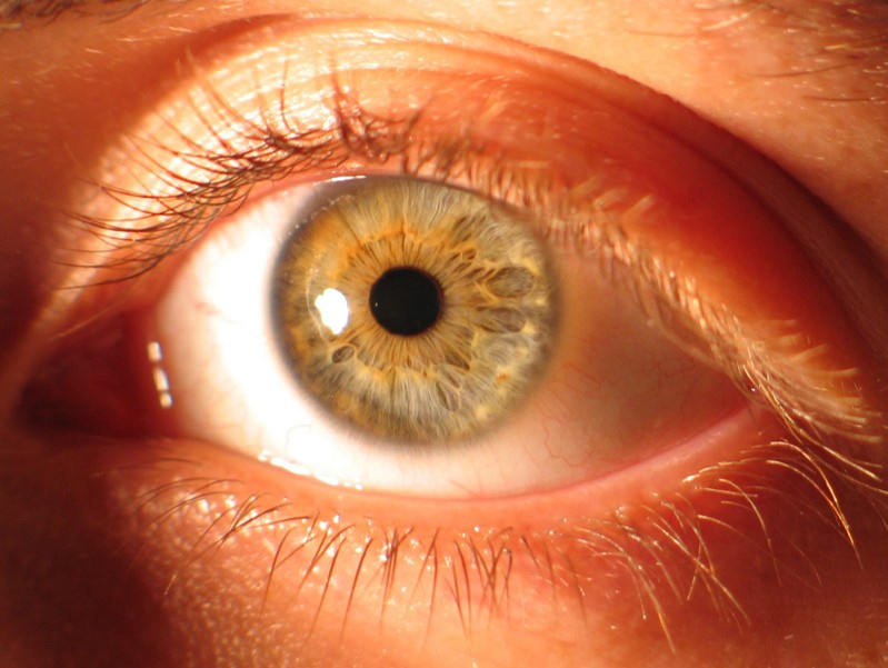 Eye Портрет Глаз Макро