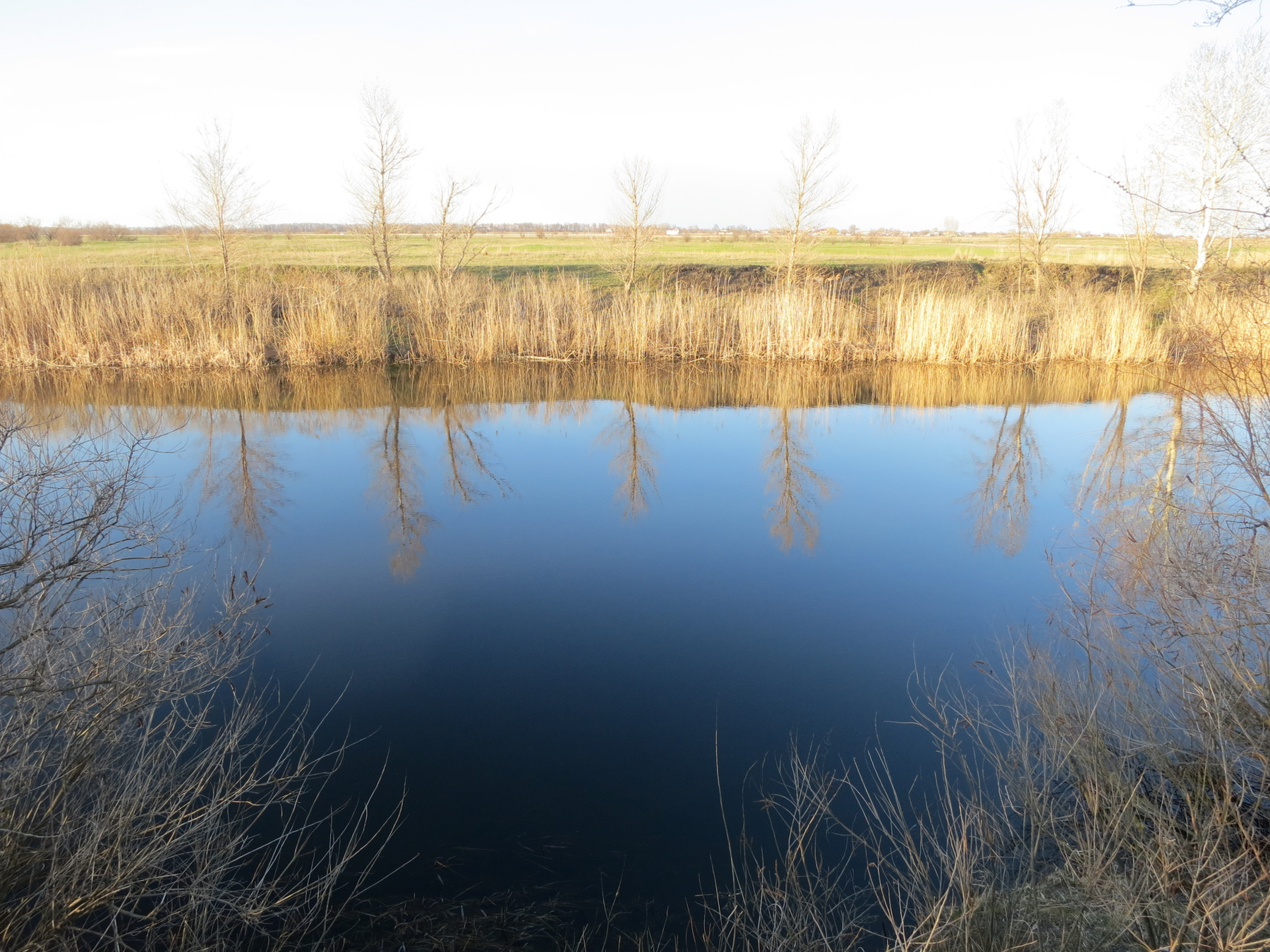 ***вид Орели 05.04.2015 / 17:07:32 