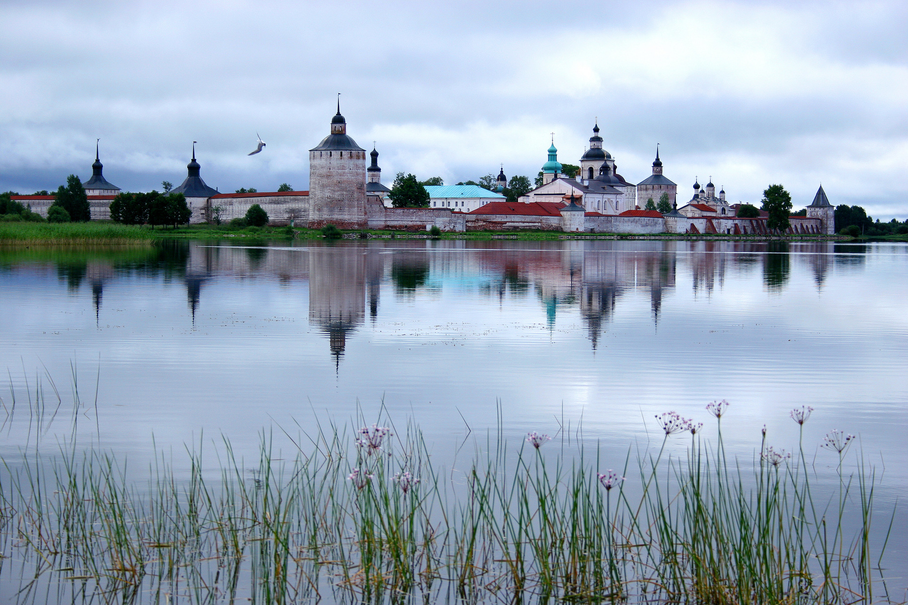 Раннее утро утро монастрырь Кириллов река вода пейзаж путешествие трава архитектура