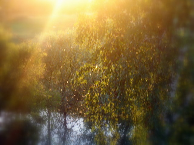 *** осень, природа