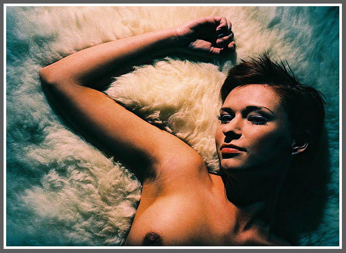 on the silver fleece in color 