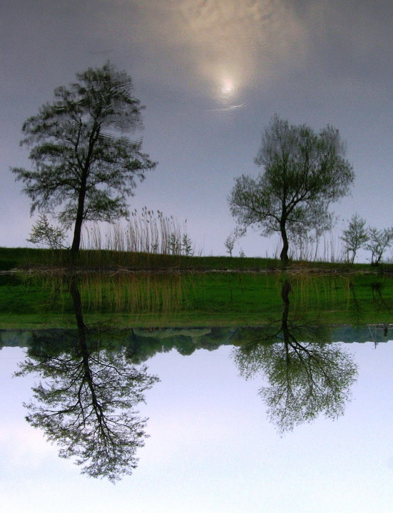 Нарушение восприятия вода