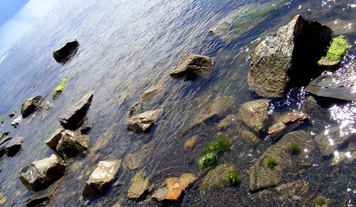 ***3 море камни водоросли солнце