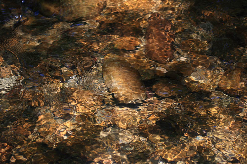 ***** пятна отблики вода