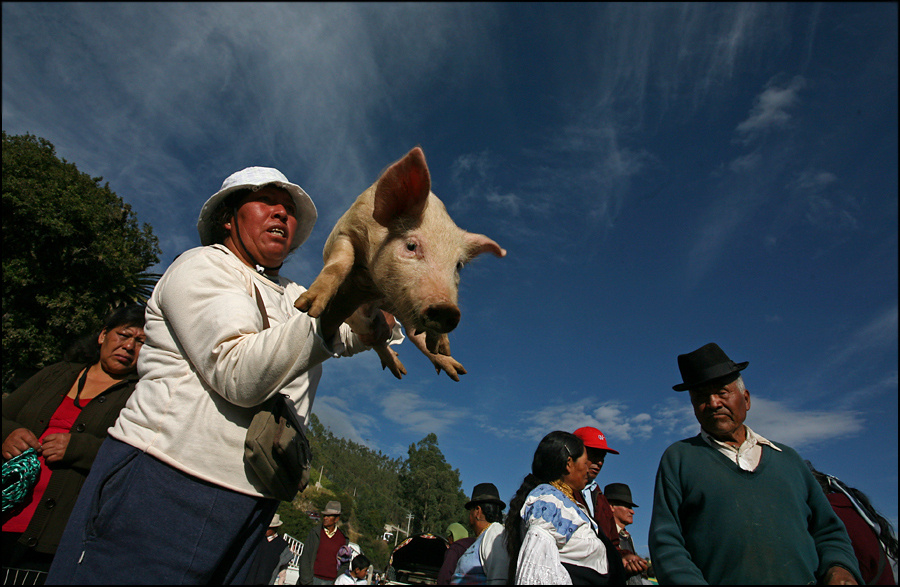Compra me (Otavalo) Ecuador