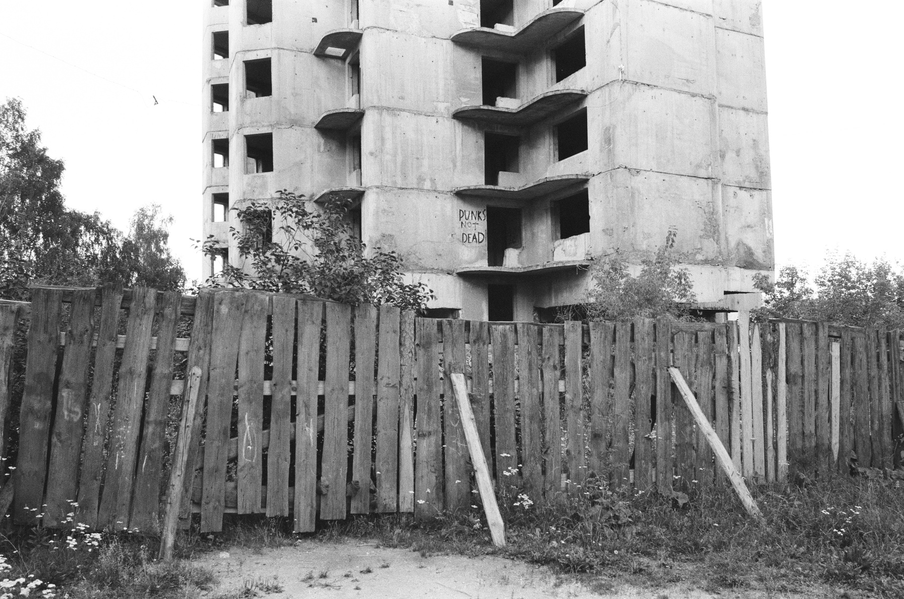 Город 