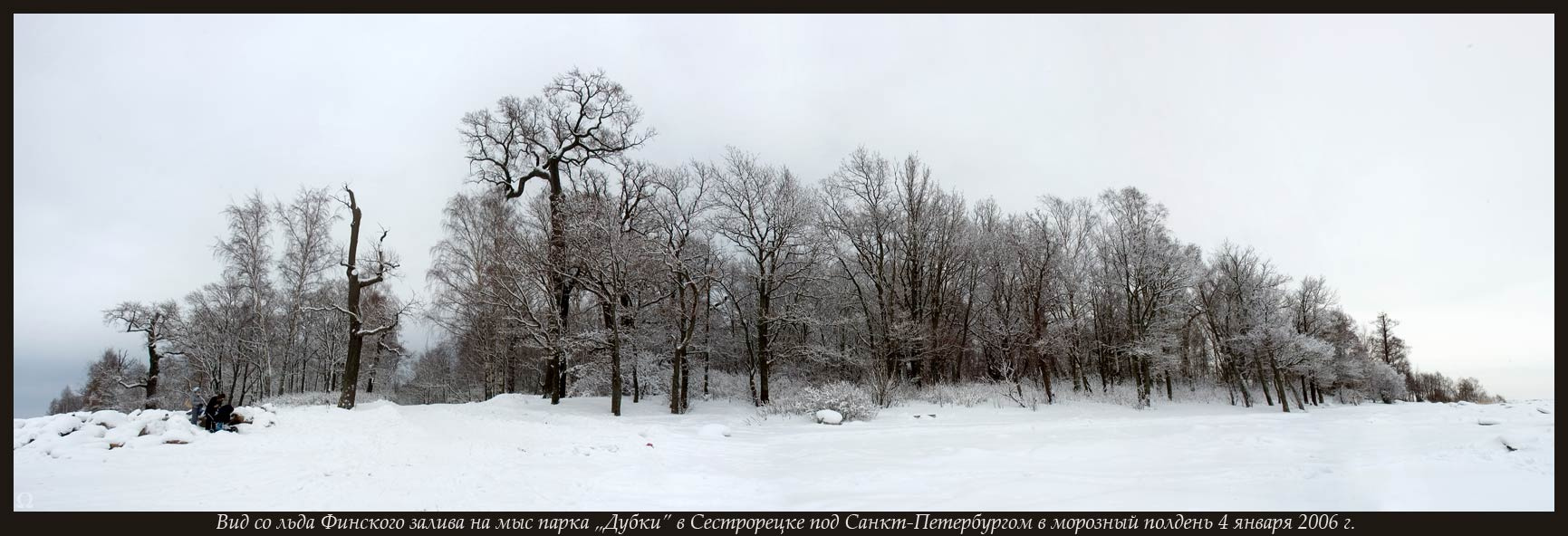 Вид со льда Финского залива на мыс парка Дубки в Сестрорецке под Санкт-Петербургом в морозный полдень 4 января 2006 г. Зима снег панорама