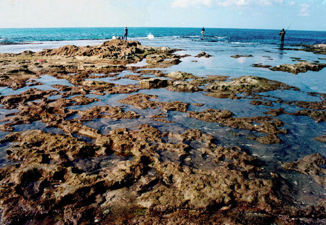 Отлив. море