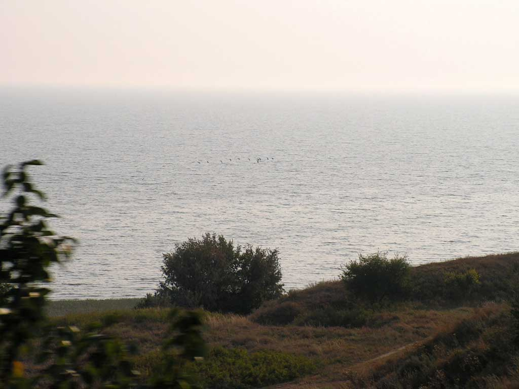 Мое море-2 