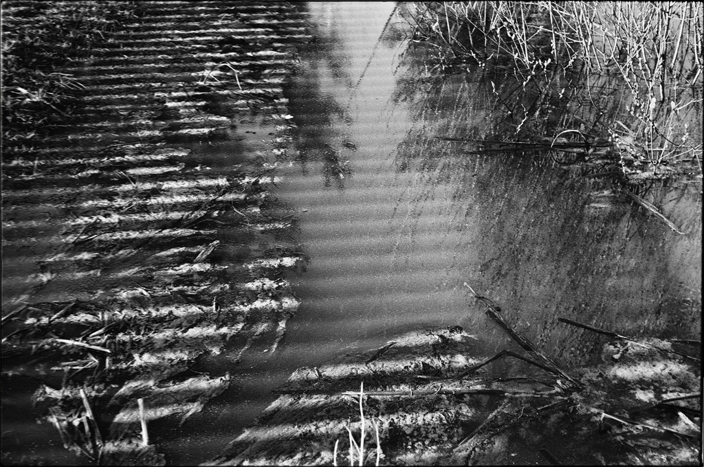 Полосатая лужа. 35mm